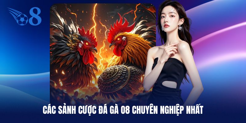 Các sảnh cược đá gà O8 xanh chín chất lượng nhất