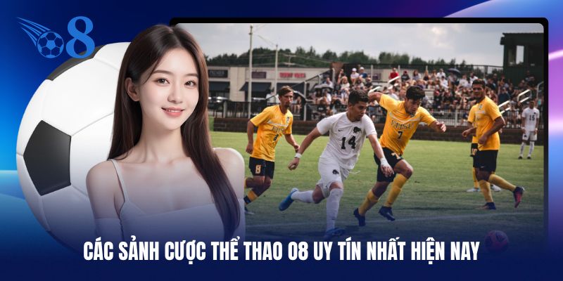 Những sảnh thể thao O8 chất lượng và uy tín nhất