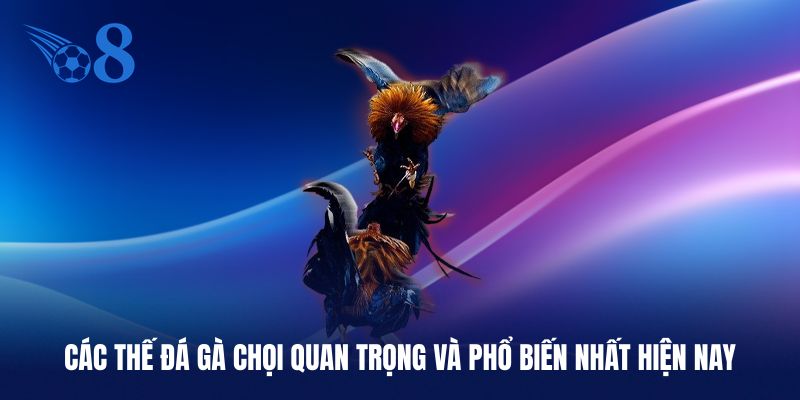 Các thế đá gà chọi quan trọng và phổ biến nhất hiện nay