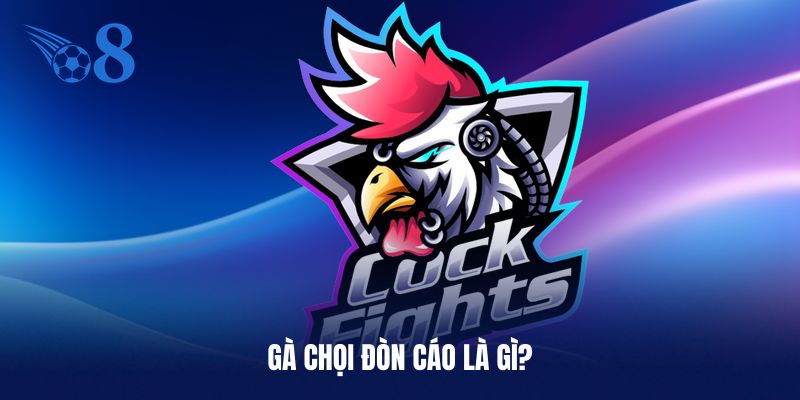 Sơ lược về gà chọi đòn cáo
