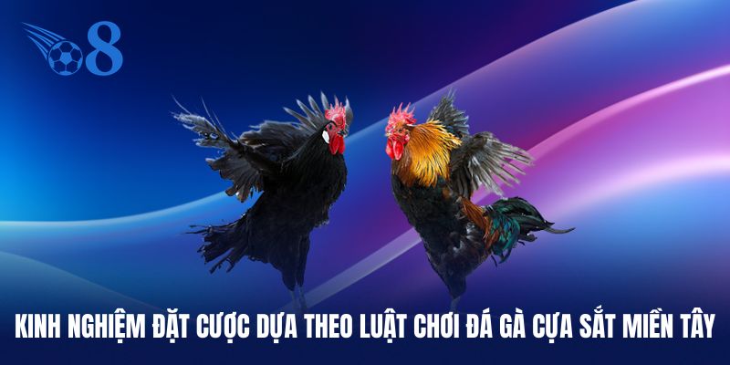Kinh nghiệm đặt tiền đúng cửa chọi gà miền Tây
