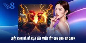 Luật chơi đá gà cựa sắt miền Tây khi ghép cặp
