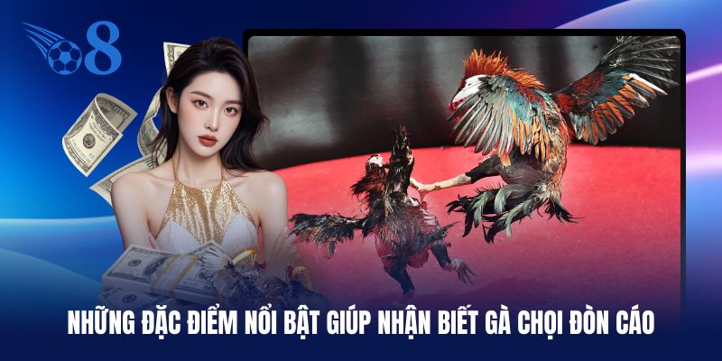 Các đặc điểm gắn liền với một con gà chọi đòn cáo
