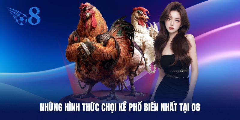 Một vài hình thức đá gà O8 hot nhất hiện nay