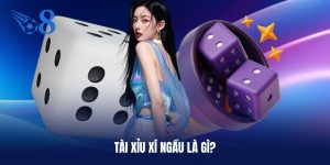 Sơ lược về tài xỉu xí ngầu