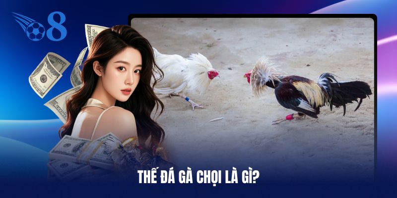 Sơ lược về thế đá gà chọi